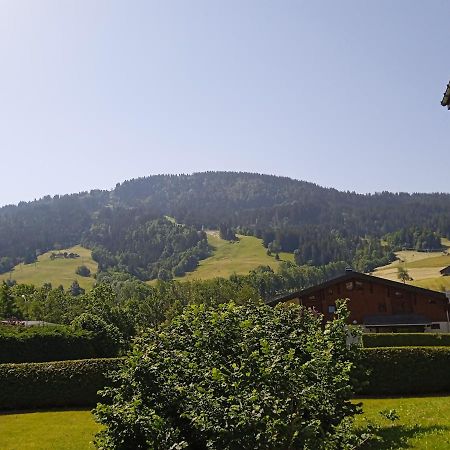 Apartamento Studio PRAZ SUR ARLY Exterior foto