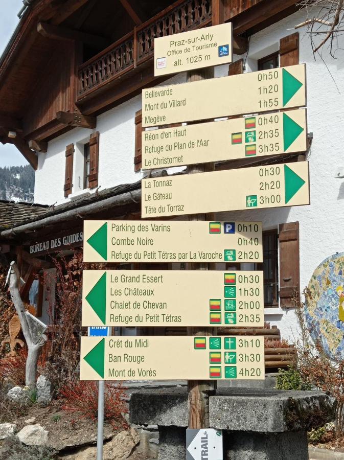 Apartamento Studio PRAZ SUR ARLY Exterior foto